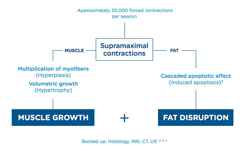 Emsculpt Supramaximal contractions diagram